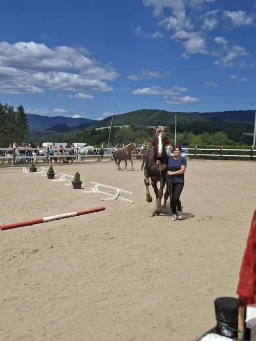 8b182ddf-2428-44ab-aa8e-32ca7fc64bf7